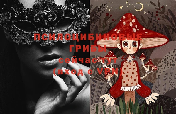 кокс Алзамай
